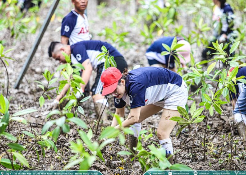 Ý tưởng “green day earth day” cho ngày hội gia đình 