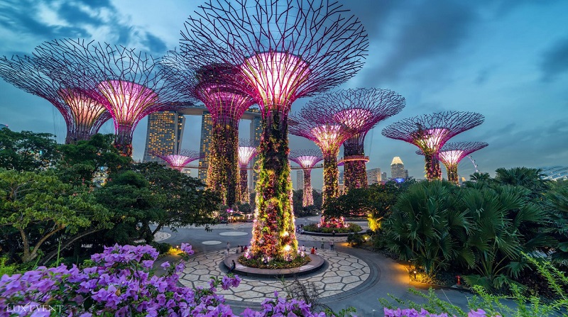 Du lịch MICE ở Singapore - Gardens by the Bay